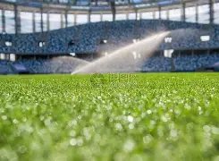 国乒今日迎,战韩港组合,成都混合团,宝威体育,宝威体育官网,宝威体育官方,宝威体育下载